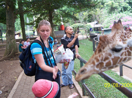 zoo.jpg